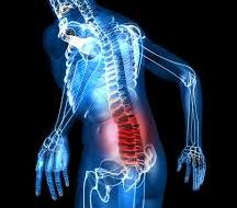 human body with back pain
