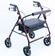 gray Walkers for Seniors